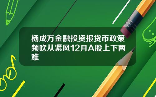 杨成万金融投资报货币政策频吹从紧风12月A股上下两难
