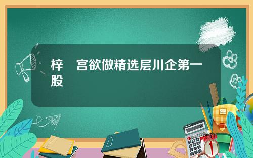 梓橦宫欲做精选层川企第一股