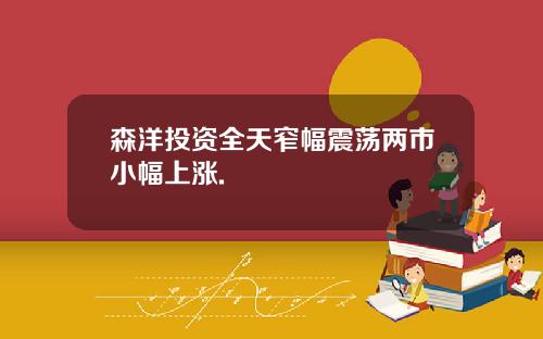 森洋投资全天窄幅震荡两市小幅上涨.