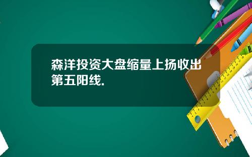 森洋投资大盘缩量上扬收出第五阳线.