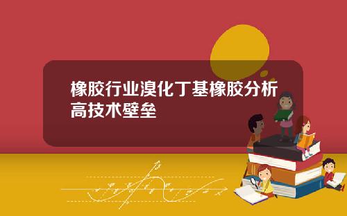 橡胶行业溴化丁基橡胶分析高技术壁垒