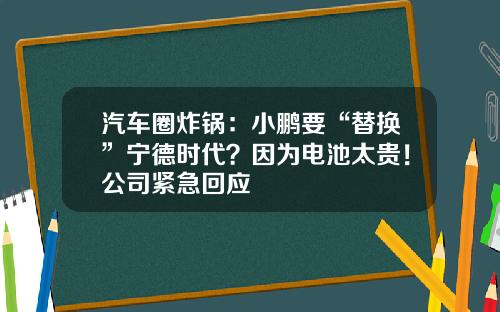 汽车圈炸锅：小鹏要“替换”宁德时代？因为电池太贵！公司紧急回应