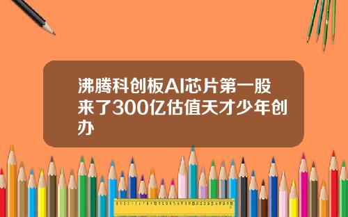 沸腾科创板AI芯片第一股来了300亿估值天才少年创办