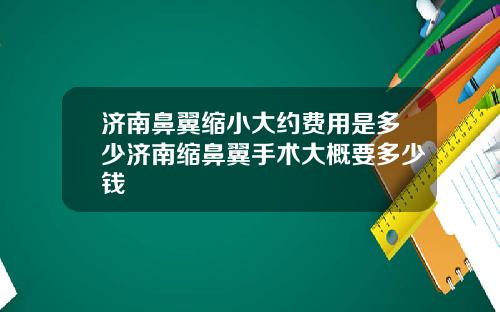 济南鼻翼缩小大约费用是多少济南缩鼻翼手术大概要多少钱