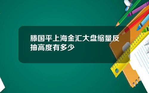 滕国平上海金汇大盘缩量反抽高度有多少