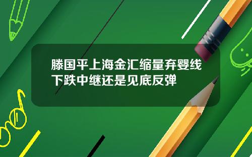 滕国平上海金汇缩量弃婴线下跌中继还是见底反弹