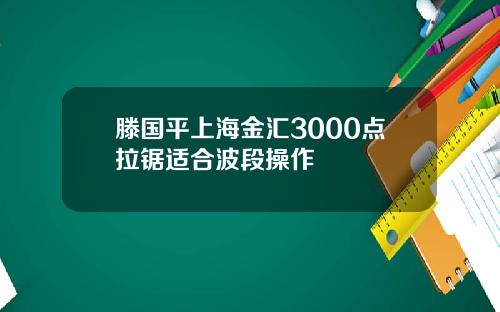 滕国平上海金汇3000点拉锯适合波段操作