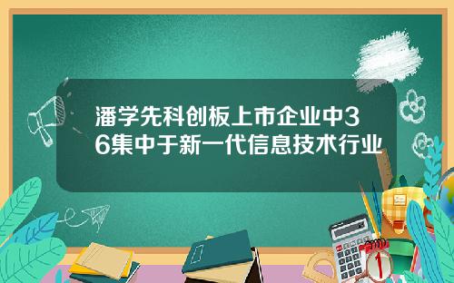 潘学先科创板上市企业中36集中于新一代信息技术行业