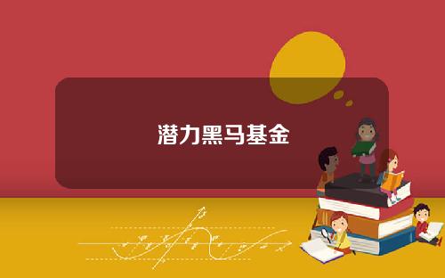 潜力黑马基金