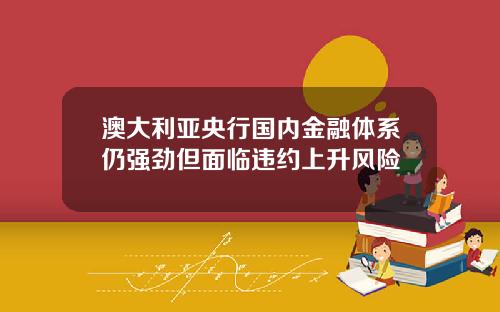 澳大利亚央行国内金融体系仍强劲但面临违约上升风险