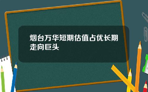 烟台万华短期估值占优长期走向巨头