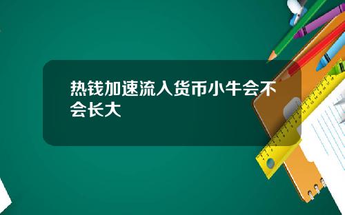 热钱加速流入货币小牛会不会长大