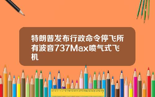 特朗普发布行政命令停飞所有波音737Max喷气式飞机