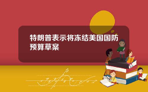特朗普表示将冻结美国国防预算草案
