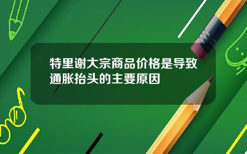 特里谢大宗商品价格是导致通胀抬头的主要原因