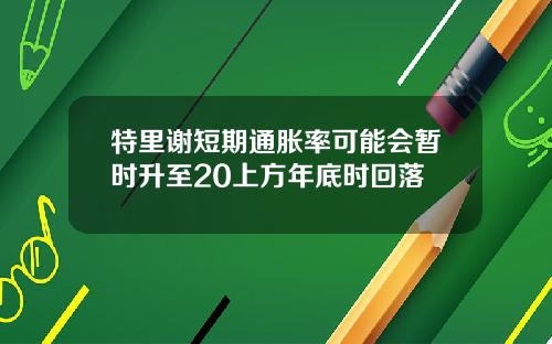 特里谢短期通胀率可能会暂时升至20上方年底时回落