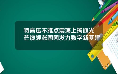 特高压不雅点震荡上扬通光芒缆领涨国网发力数字新基建
