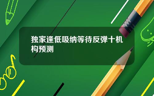 独家逢低吸纳等待反弹十机构预测