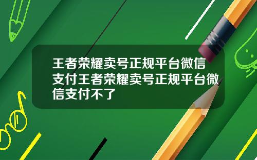 王者荣耀卖号正规平台微信支付王者荣耀卖号正规平台微信支付不了