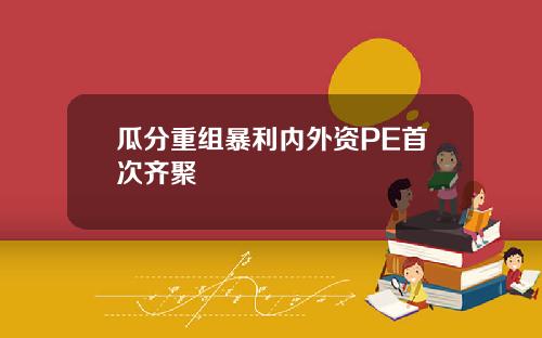 瓜分重组暴利内外资PE首次齐聚