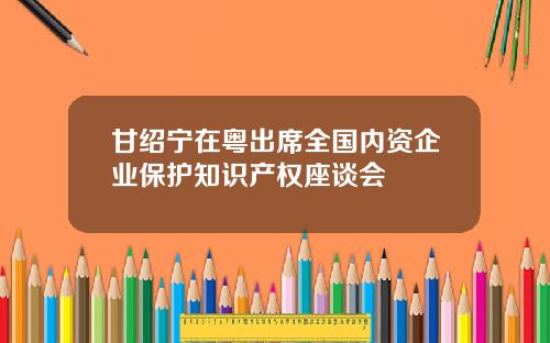 甘绍宁在粤出席全国内资企业保护知识产权座谈会