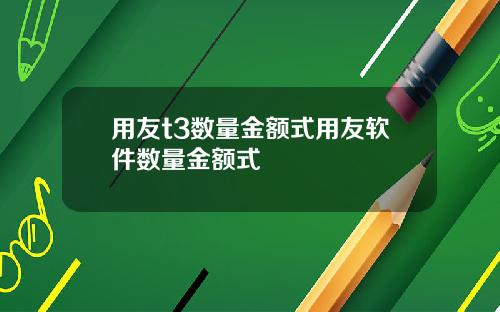 用友t3数量金额式用友软件数量金额式