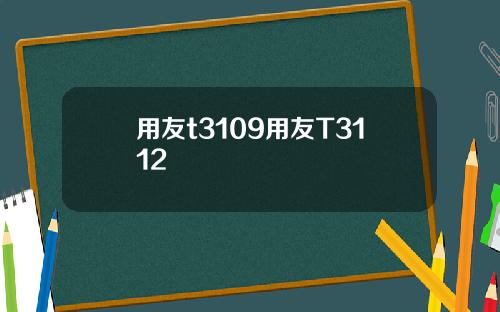 用友t3109用友T3112