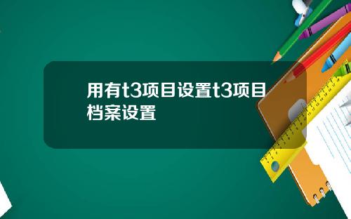 用有t3项目设置t3项目档案设置
