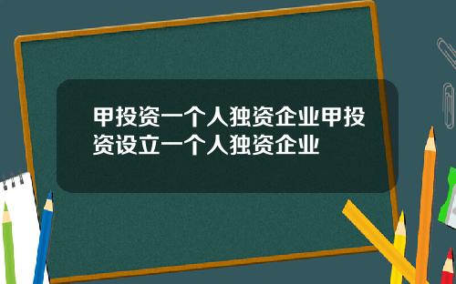 甲投资一个人独资企业甲投资设立一个人独资企业