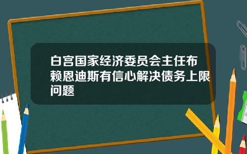 白宫国家经济委员会主任布赖恩迪斯有信心解决债务上限问题