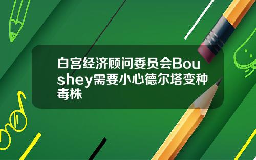 白宫经济顾问委员会Boushey需要小心德尔塔变种毒株