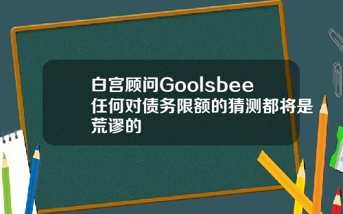 白宫顾问Goolsbee任何对债务限额的猜测都将是荒谬的