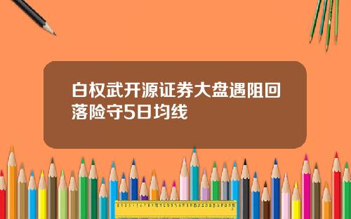 白权武开源证券大盘遇阻回落险守5日均线