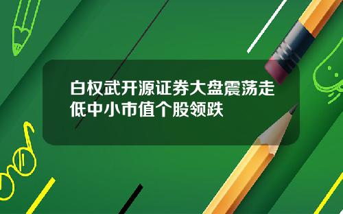 白权武开源证券大盘震荡走低中小市值个股领跌