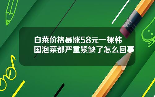 白菜价格暴涨58元一棵韩国泡菜都严重紧缺了怎么回事