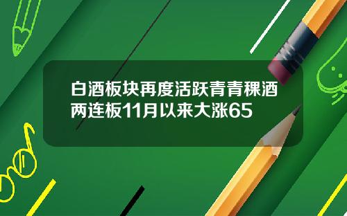 白酒板块再度活跃青青稞酒两连板11月以来大涨65