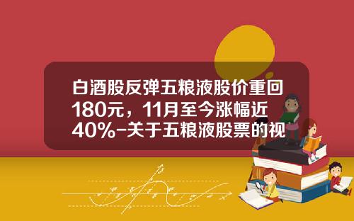 白酒股反弹五粮液股价重回180元，11月至今涨幅近40%-关于五粮液股票的视频资讯