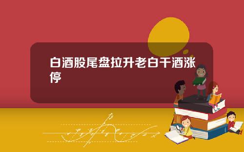白酒股尾盘拉升老白干酒涨停