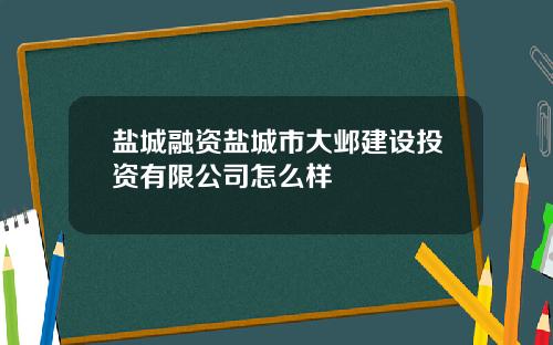 盐城融资盐城市大邺建设投资有限公司怎么样