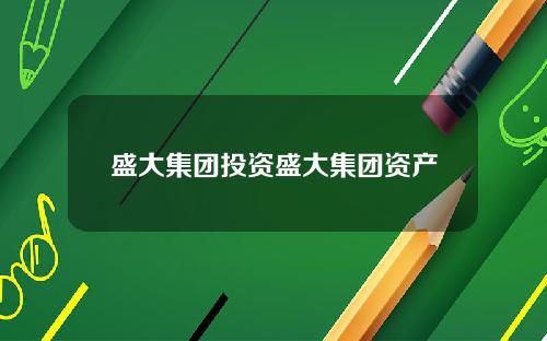 盛大集团投资盛大集团资产