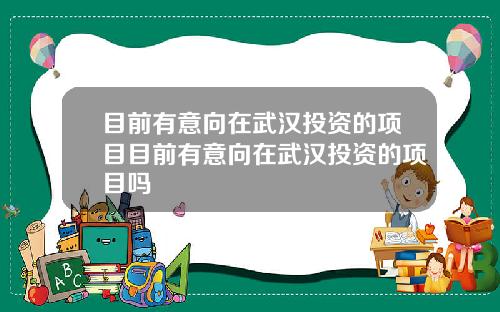 目前有意向在武汉投资的项目目前有意向在武汉投资的项目吗
