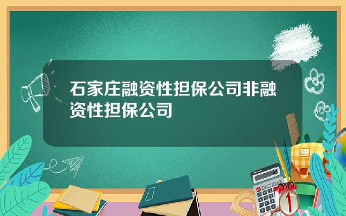 石家庄融资性担保公司非融资性担保公司