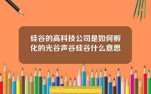 硅谷的高科技公司是如何孵化的光谷声谷硅谷什么意思