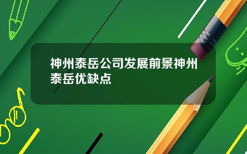 神州泰岳公司发展前景神州泰岳优缺点
