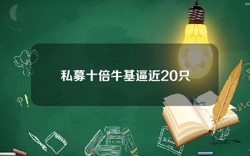 私募十倍牛基逼近20只
