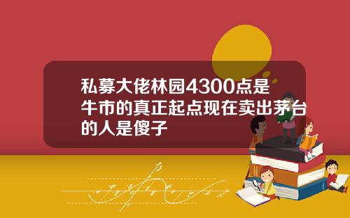 私募大佬林园4300点是牛市的真正起点现在卖出茅台的人是傻子