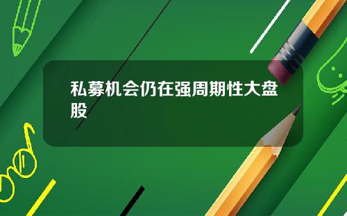私募机会仍在强周期性大盘股