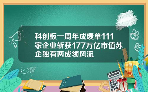 科创板一周年成绩单111家企业斩获177万亿市值苏企独有两成领风流