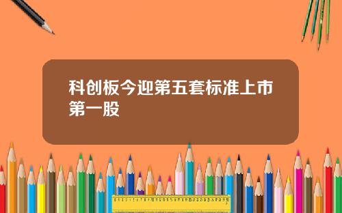 科创板今迎第五套标准上市第一股