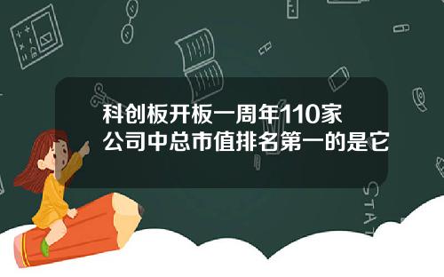 科创板开板一周年110家公司中总市值排名第一的是它